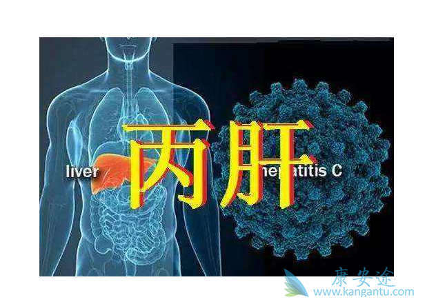 丙肝病毒 丙肝病毒