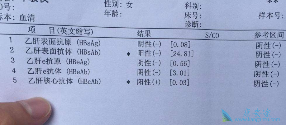 乙肝表面抗体 乙肝表面抗体