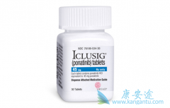 ��������/Iclusig��˵����