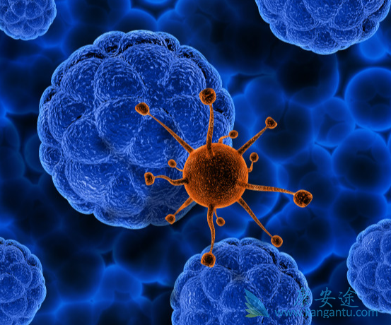 丙肝病毒 丙肝病毒