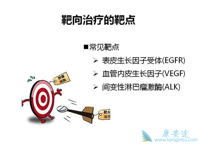 靶向治疗 靶向治疗
