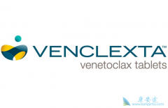 ά������(venclexta)��AML�е�Ӧ��