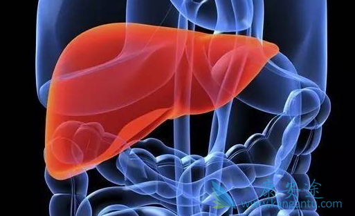 预防丙肝 预防丙肝