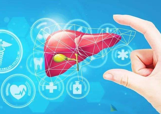 丙肝的危害有哪些 丙肝的危害有哪些