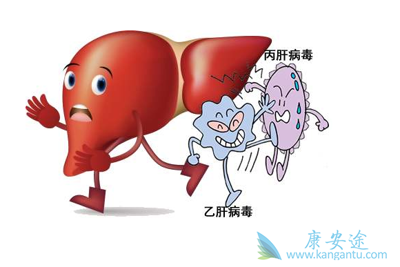 丙肝病毒 丙肝病毒