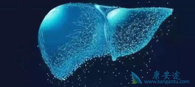 丙肝病毒 丙肝病毒