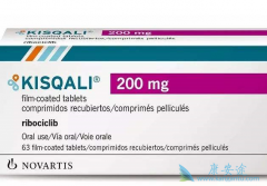 ʲô�׶β���CDK4/6���Ƽ��������������ƣ�