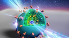 ����ҩ���Ժ����ֵȲ�����Ӧ��������ҩ��Ҳ��������