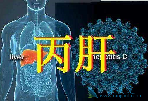 丙肝抗体阳性 丙肝抗体阳性