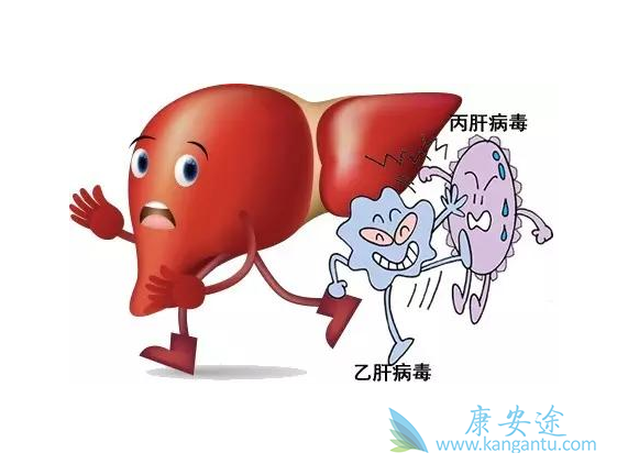 乙肝病毒 乙肝病毒