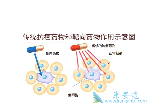 分子靶向药物 分子靶向药物