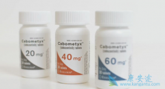 �����������ڸ�ϸ�������Ķ�������