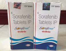 �ΰ���������ҩ�༪���Ľ���