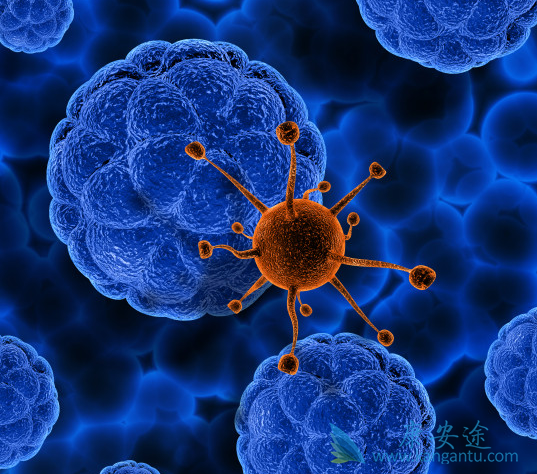 丙肝病毒 丙肝病毒