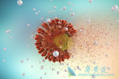 ������/������Τ������Щҩ���໥���ã�