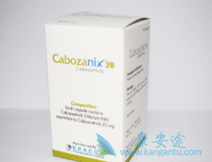 ��������(XL184)�Զ������������ƾ��о޴�Ǳ��