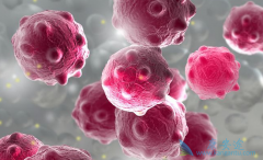 ���ȵĹ�״�������߿�����������Τ��