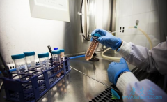 Remdesivir/�����Τ��Ч��