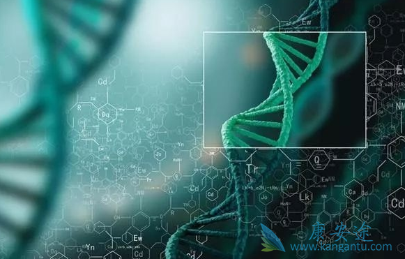 新型冠状病毒 新型冠状病毒