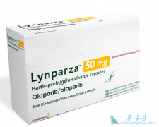 ��������ҩƷ���������������ٰ���Ч����Σ�