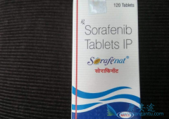 ��������/�����������ҩ��Ӧ