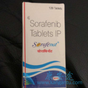 �����������������ʲô����