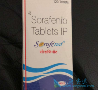 ���������������Ŀ���������