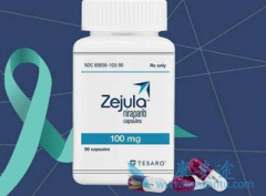 ����/�������������¾�ϲ