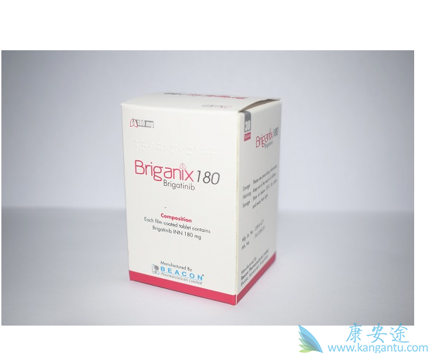 布加替尼说明书 布加替尼说明书