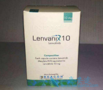 �ַ�����/�ط�����������ӹ���Ĥ������Ч