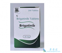 Ŀǰbrigatinib���������ᣩҩƷ����Сϸ���ΰ��������Σ�