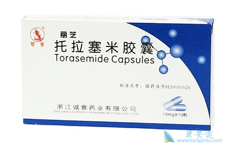 托拉塞米说明书 托拉塞米说明书