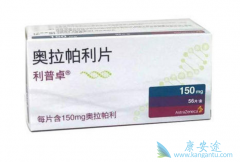 �ѳ�������ע���Ķ���������˵����