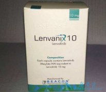 �ַ�������ʤ�������᣿