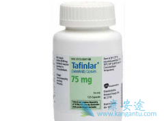 �����������������İ�������