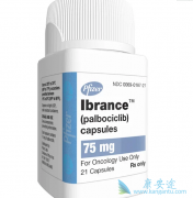 Palbociclib/Ibrance��һ�����ٰ��������Ͱ���ҩ