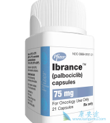 Palbociclib/IBRANCE�����˻��ߵ�PFS