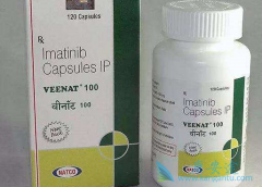 ������/����������GIST�����з�����Ҫ����