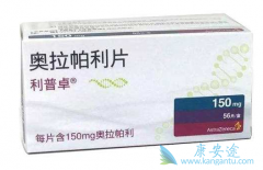 ��������/���������뱴���鵥�������Ʒ�����