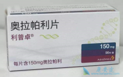 ��������/������������Ӧ����������