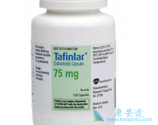 ���������������������������ƺ�ɫ����