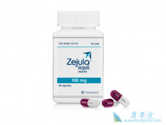 ����/�����������͸�������������