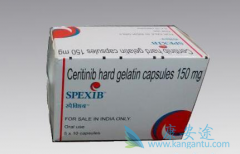 ZYKADIA/ɫ������Է�Сϸ���ΰ�������Ч��