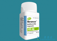 �����߰�����/Ibrance��С����