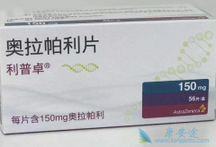 ��������(Lynparza)�����ٰ������е�����