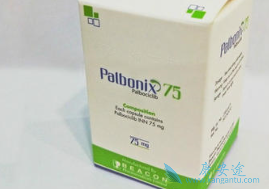 帕博西尼 帕博西尼