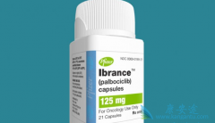 ��������Ч����ô����