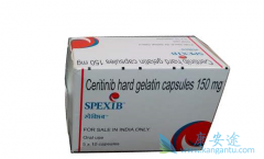 ������������Ч����