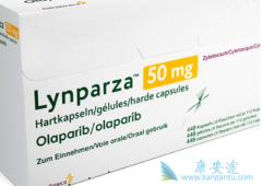 �����������ĸ����ҵ�ҩ��