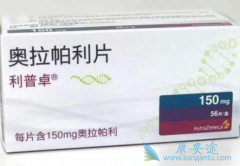 ��������ԭ��ҩ������